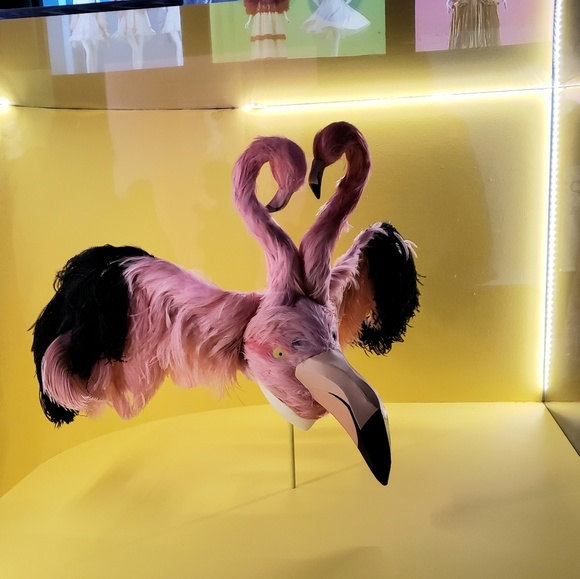 Meet your Posher, Ariana - Picture 2 of 3